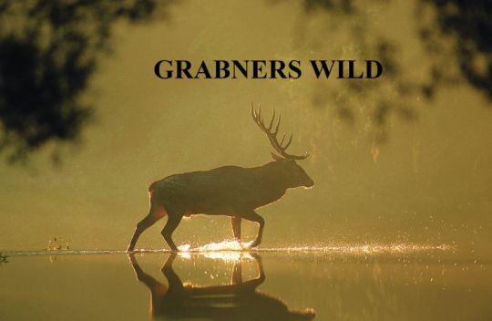 Grabners Wild Logo