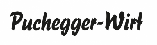 Puchegger Logo 