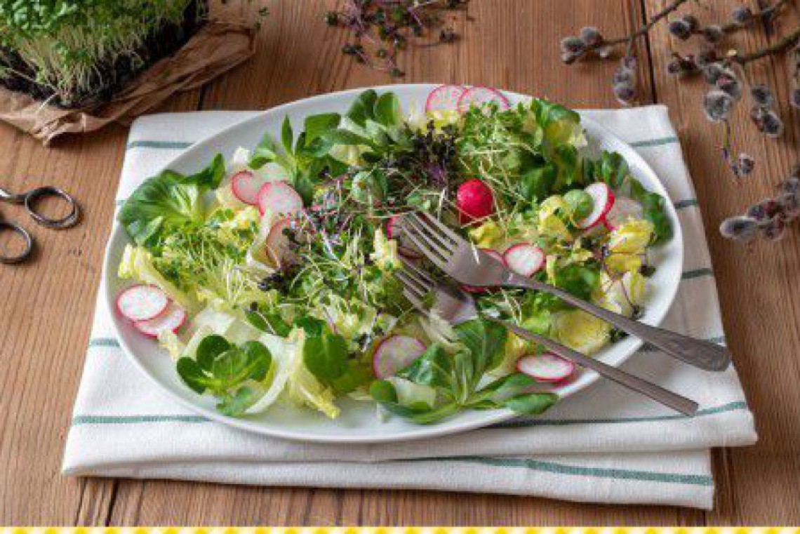 Frühlingssalat mit Sprossen und Micorgreens