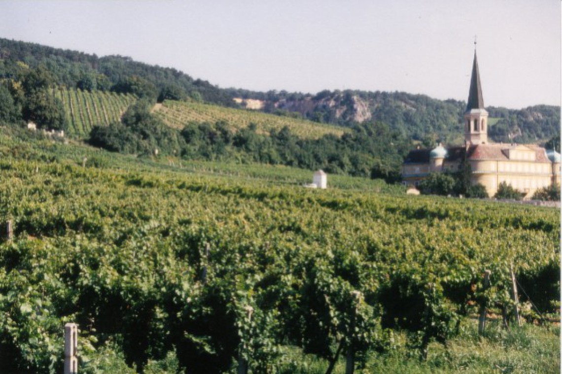 Biegler Weingärten mit Schloss und Kirche