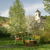 Bild anzeigen: Garten des Gasthofes Grüner Baum