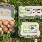Bild anzeigen: Eier verpackt in Eierkartons