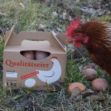 Bild anzeigen: Eier mit Huhn