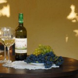 Bild anzeigen: Bioweingut Wiesinger Wein mit 2 Weingläser und Weintrauben