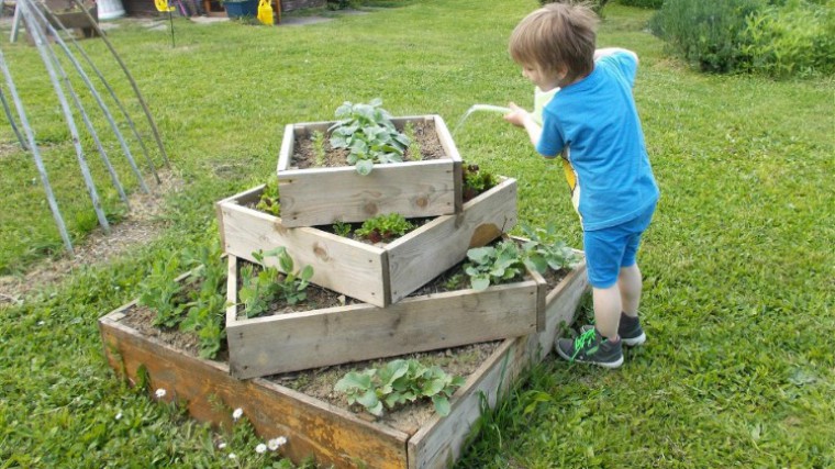 Kind gießt Gemüsepyramide