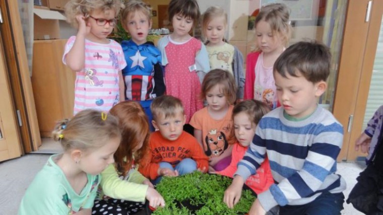 Kindergarten Neumarkt mit Gemüse