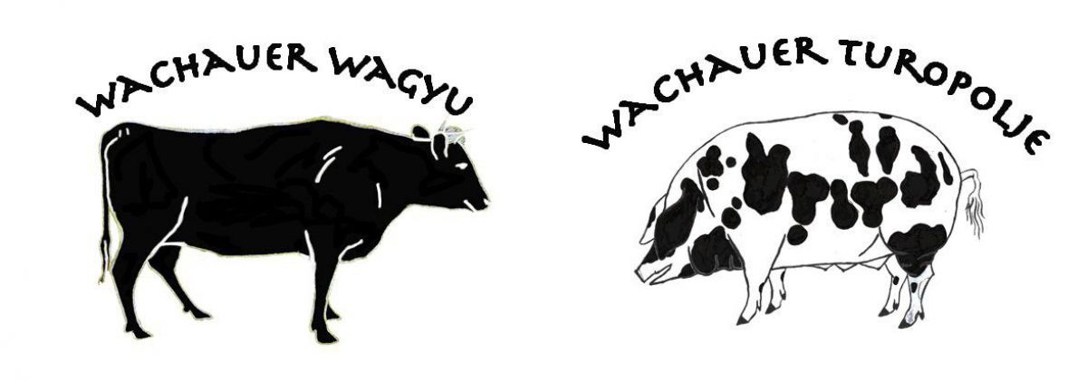 Wachauer Wagyu & Wachauer Turopolje Logo