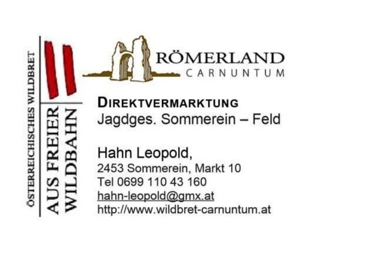 Hahn Logo