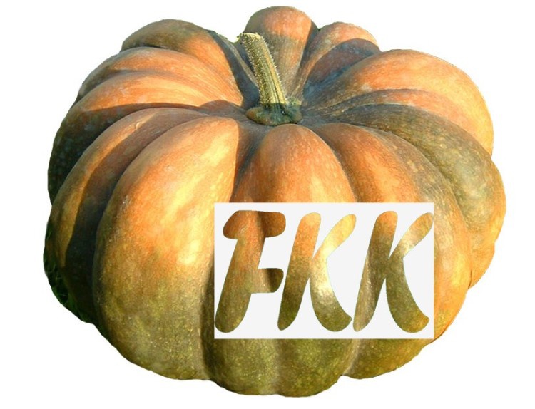 Karpfinger Logo
