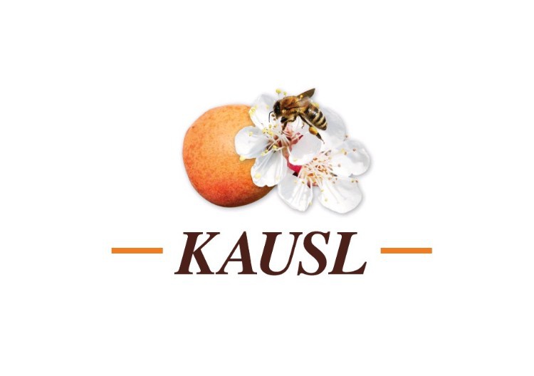 Kausl Logo
