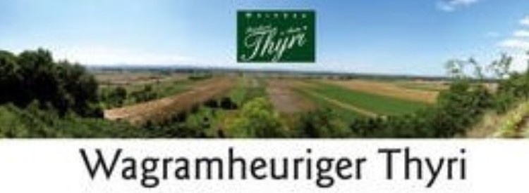Reinhard Thyri Logo