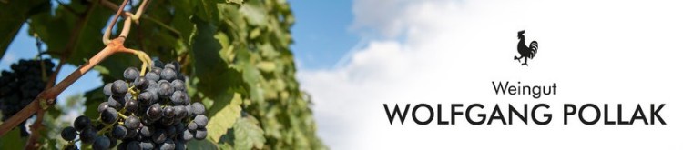 Logo-Weingut-Pollak