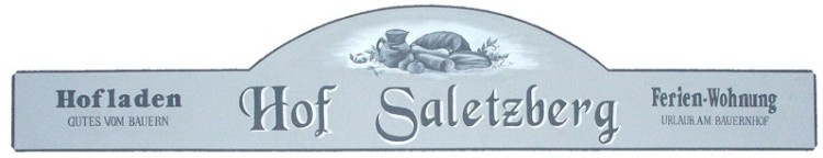 Saletzberg Logo