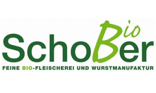 Schober Logo