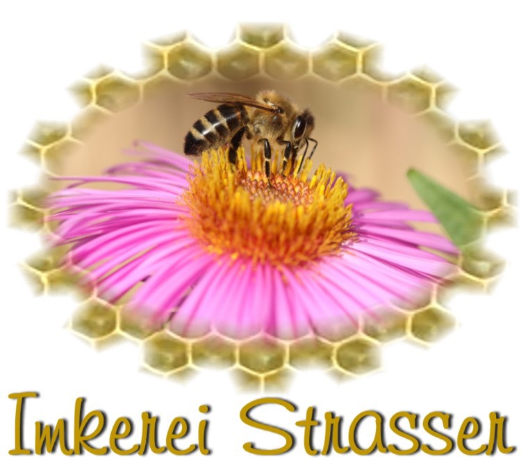 Strasser Logo