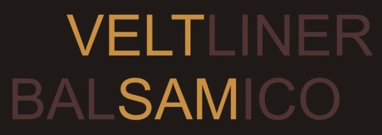 VELTSAM Logo