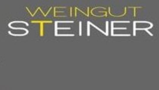 Weingut Steiner Logo