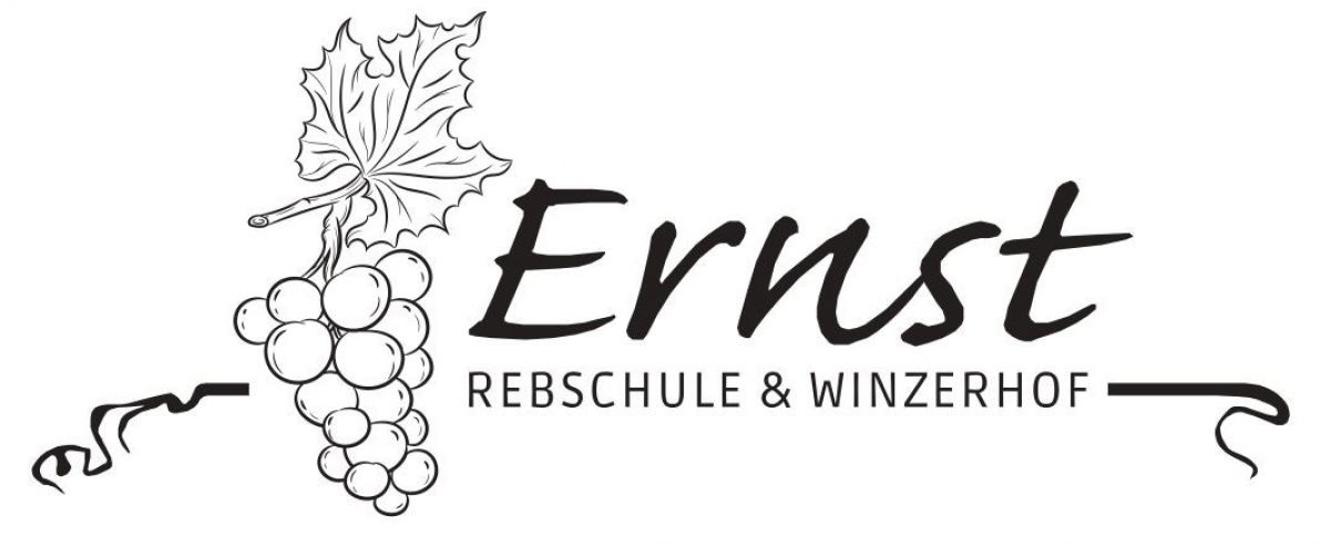 Ernst Logo