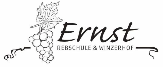 logo_ernst_