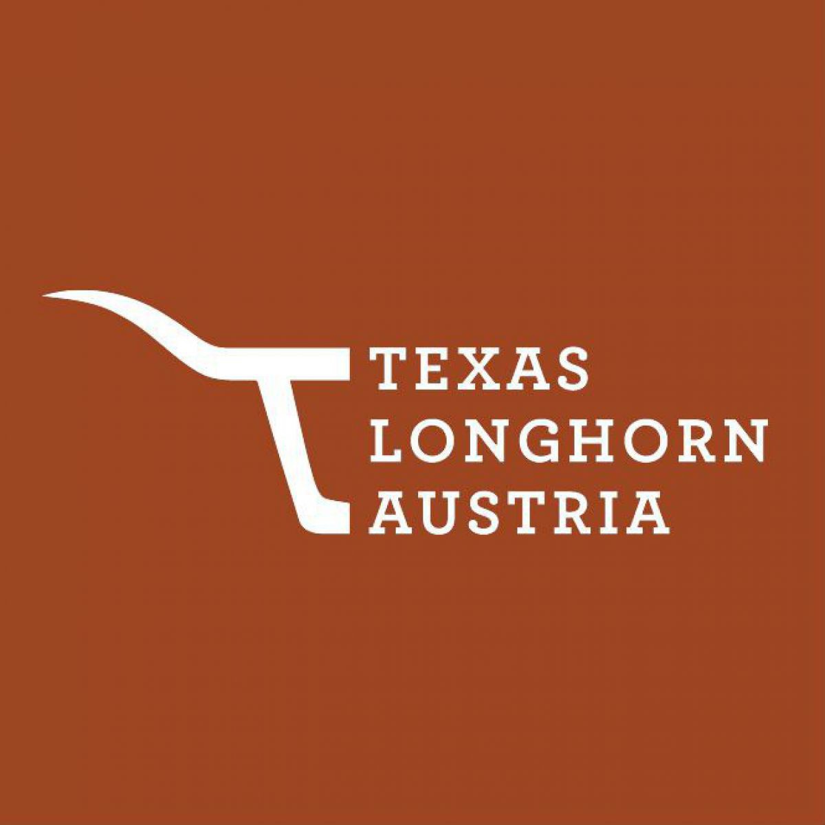 Texas Longhorn Logo