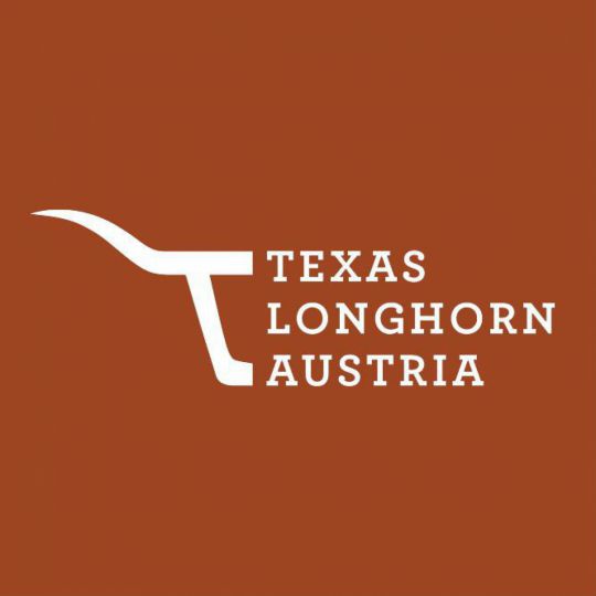 Texas Longhorn Logo