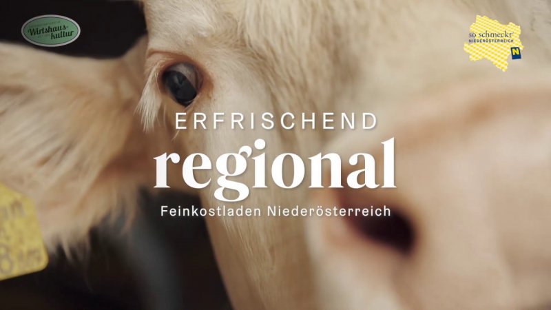 Youtube Video aktivieren