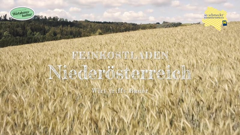 Youtube Video aktivieren