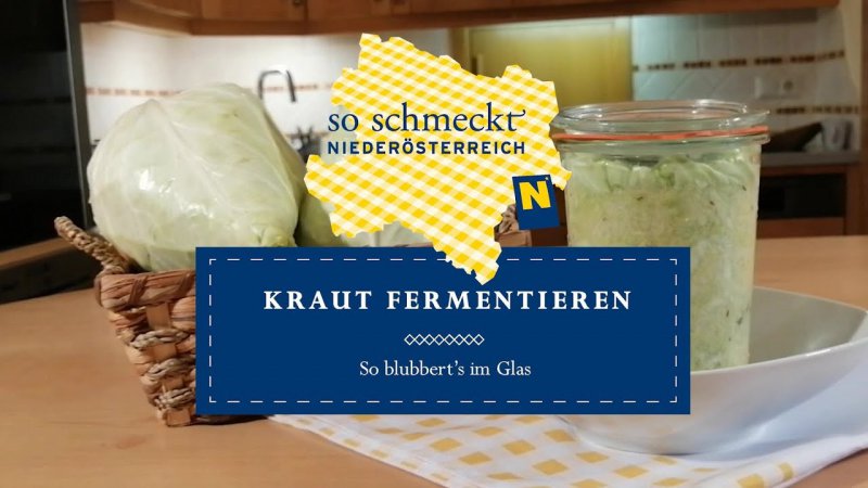 Youtube Video aktivieren