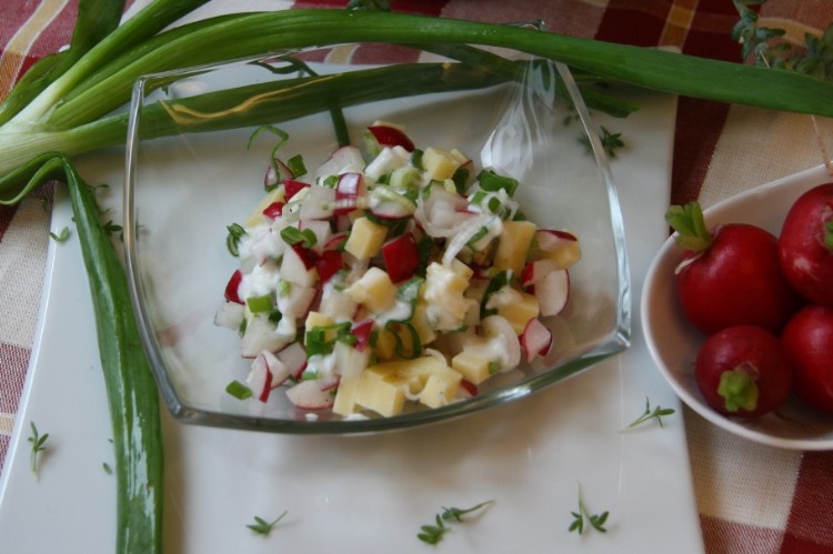Radieschensalat mit Jungzwiebel und Käse So schmeckt Niederösterreich