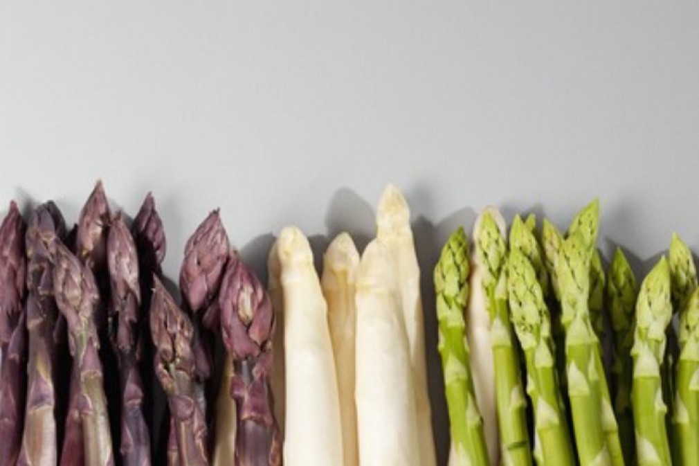 Spargel Noble Blässe oder sonnengereiftes Grün? So schmeckt NÖ