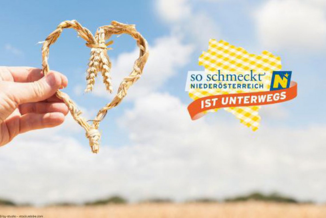 "So schmeckt NÖ" ist unterwegs am Erntedankfest im Traisental!