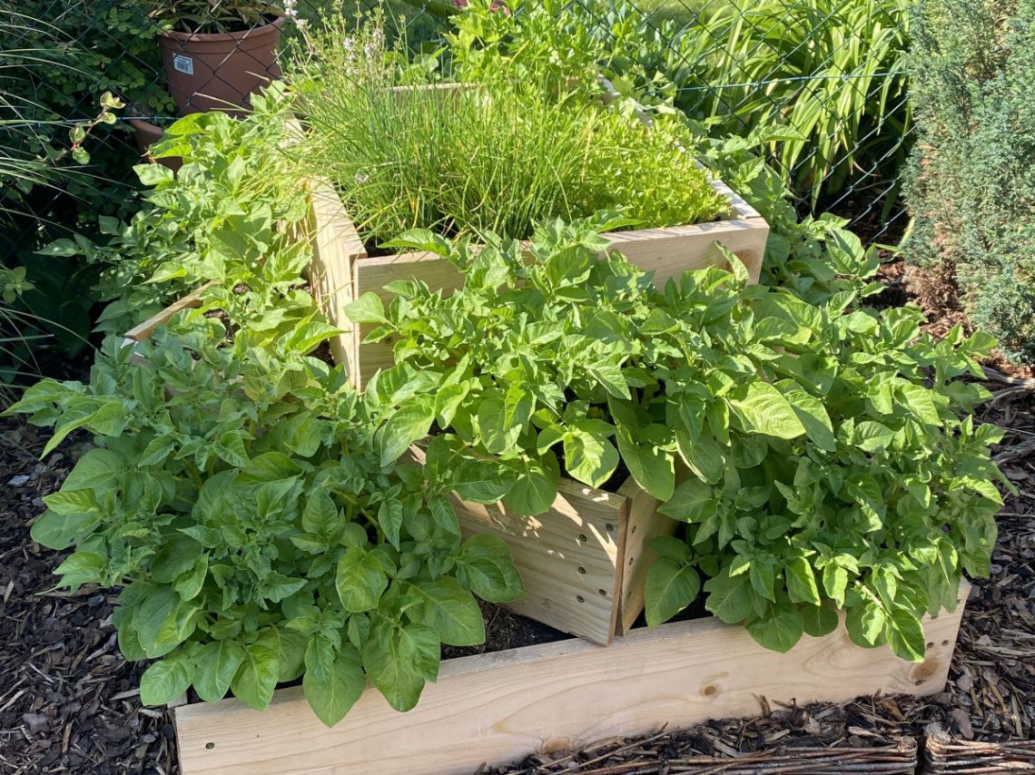 Eine sch&ouml;n pr&auml;sentierte Erd&auml;pfelpyramide