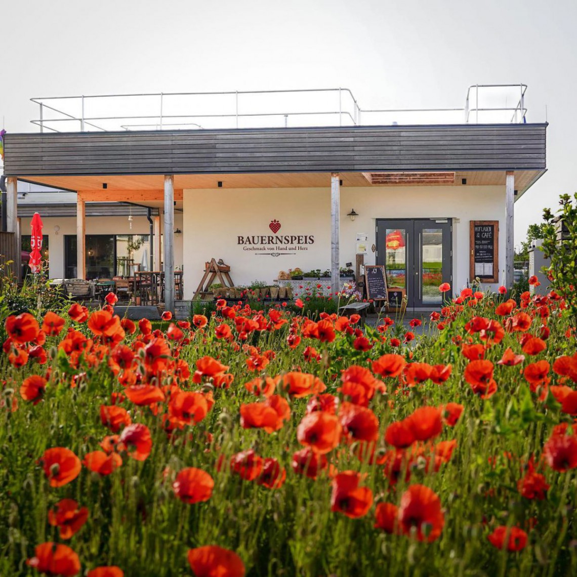 Bauernspeis mit Mohnblumen im Vordergrund