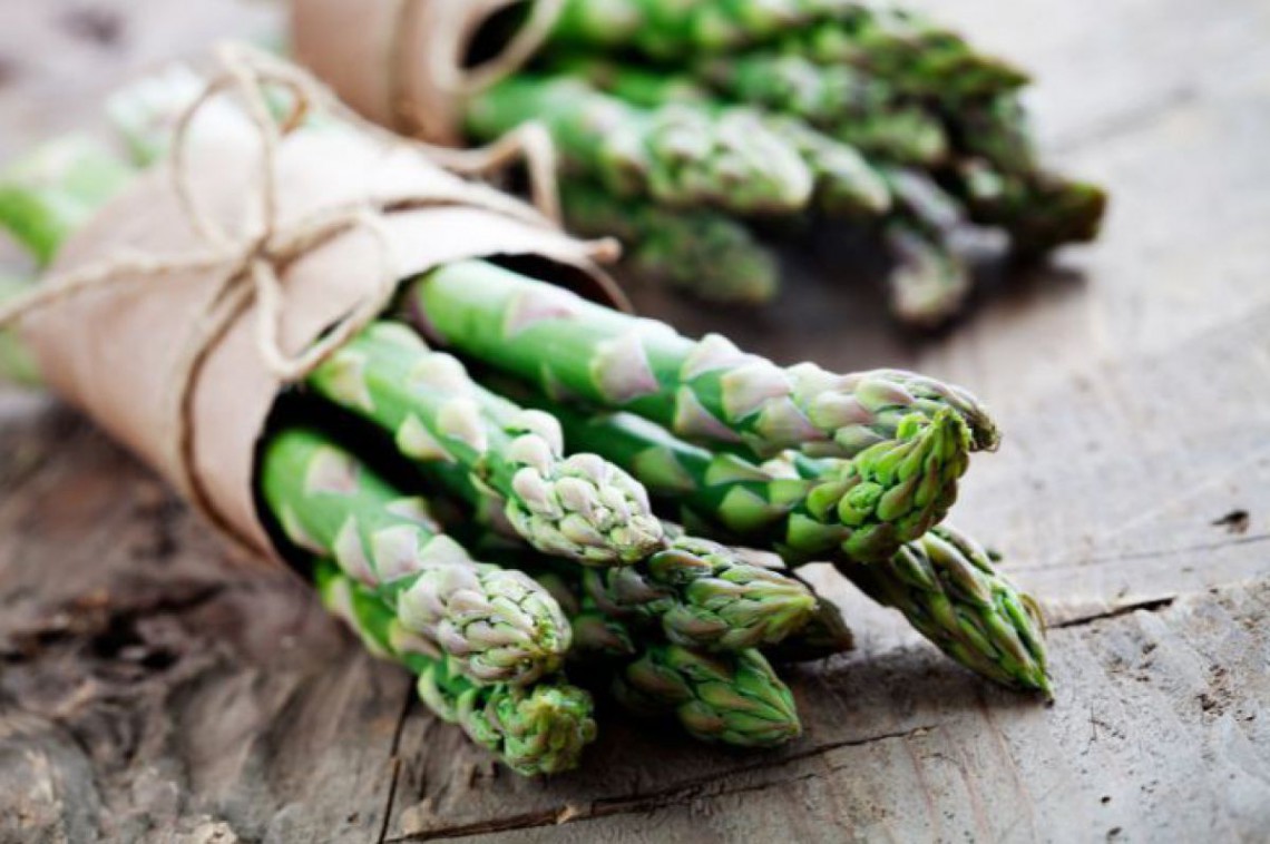 spargel-website