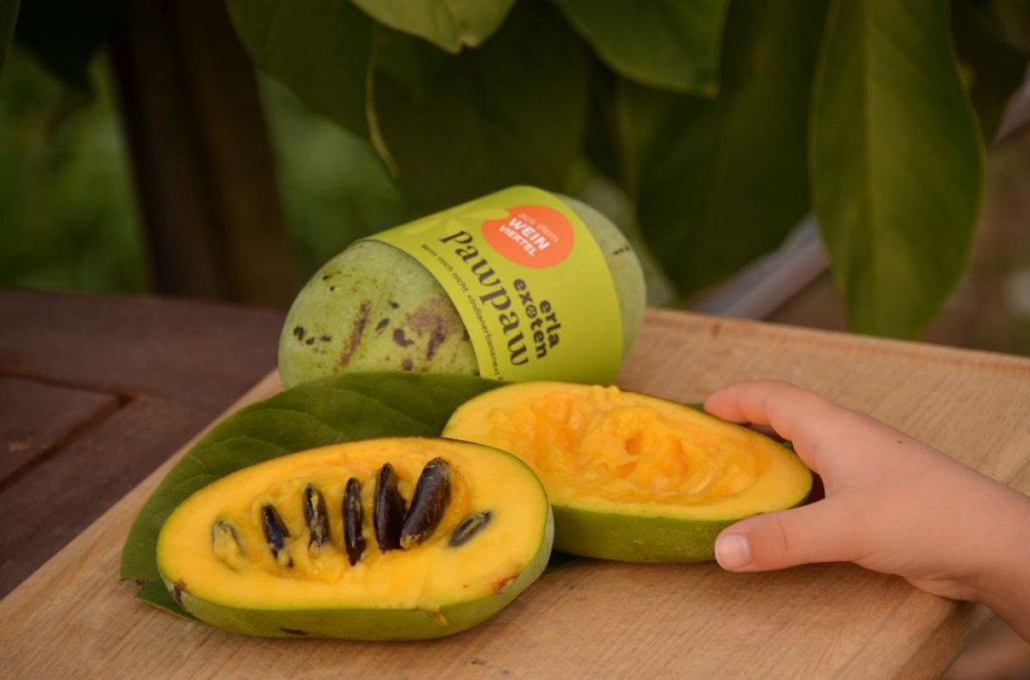 erla-exoten-c-k-c_thomas_labuda