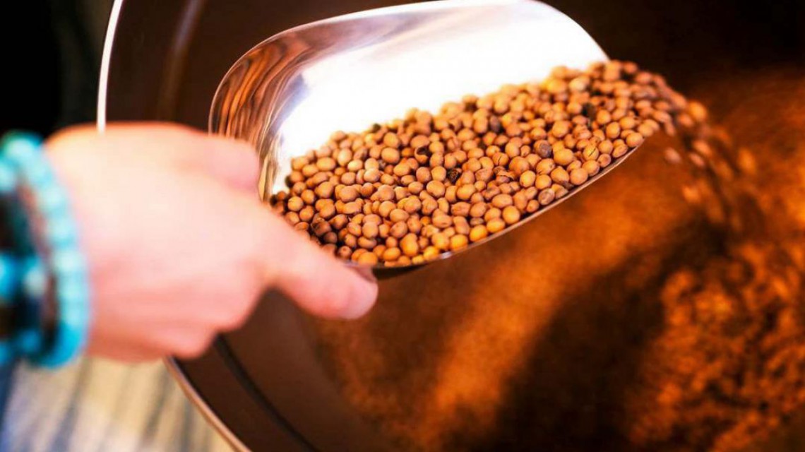 Lupinenkaffeebohnen auf Schaufel