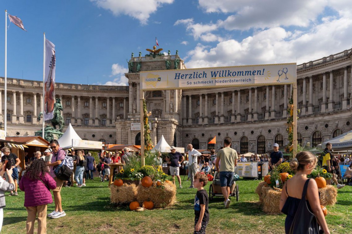 20260912_moritzscheer_dsc01591