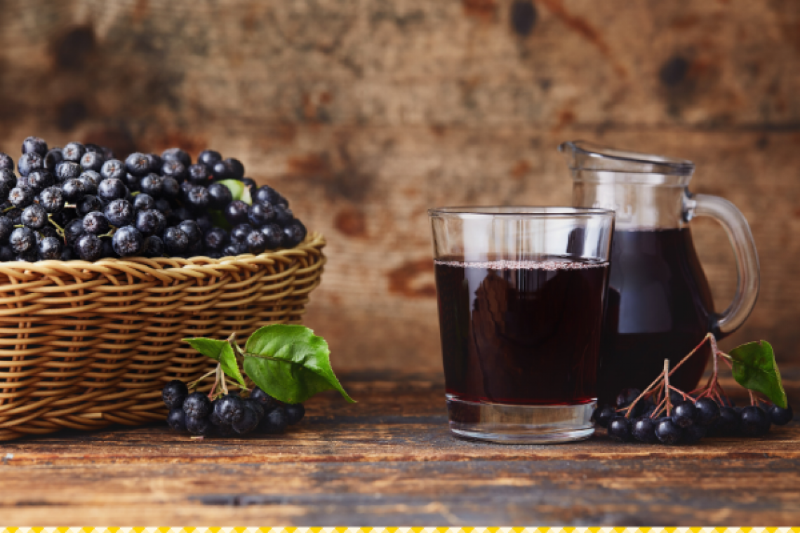 aronia-c-canva