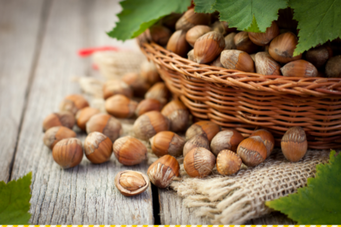 haselnuesse-in-korb-c-canva