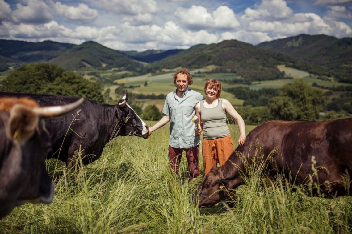 Familie Penner mit Wagyu Rindern auf der Weide  