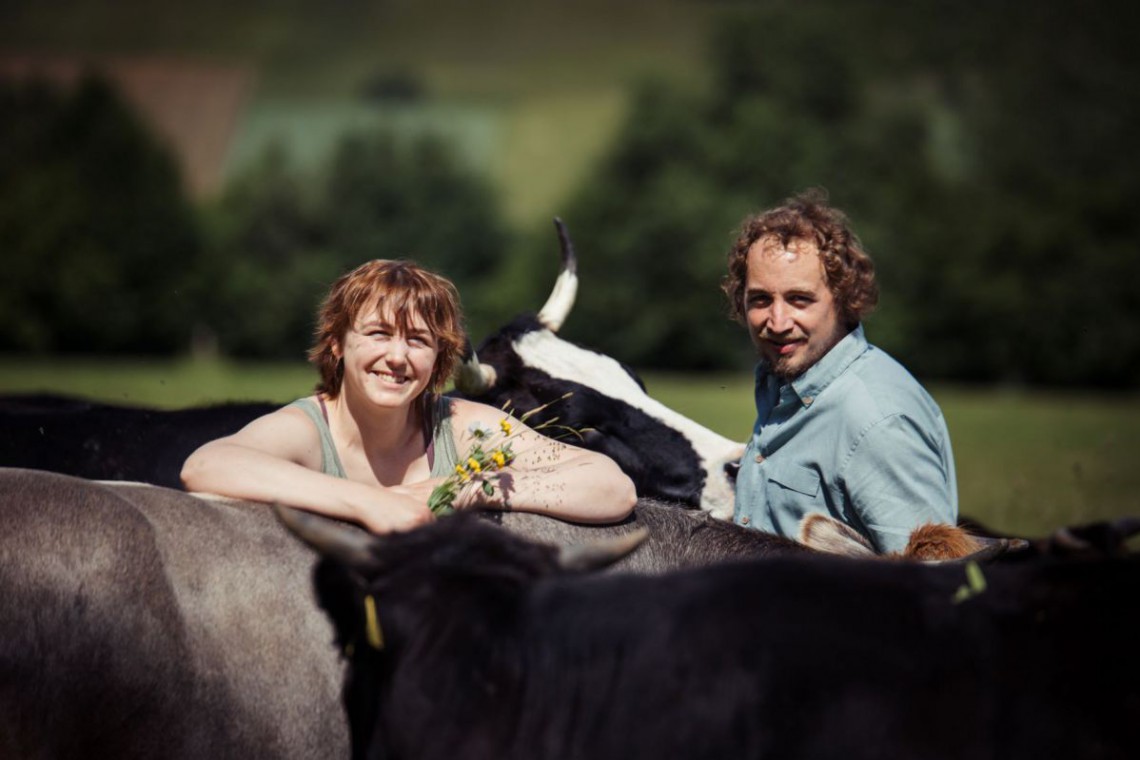 Familie Penner mit Wagyu Rindern