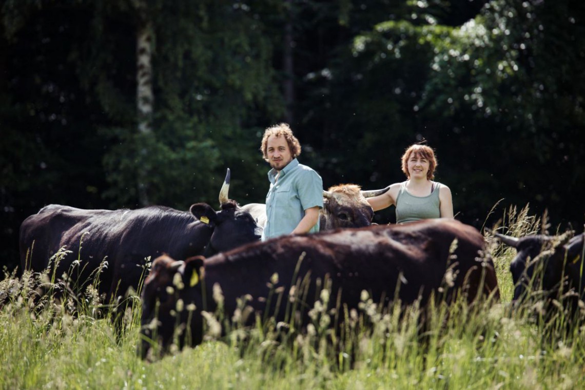 Familie Penner mit Wagyu Rindern vor Wald