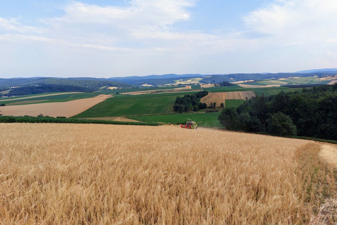 Biohof Doppler Getreide Ernte