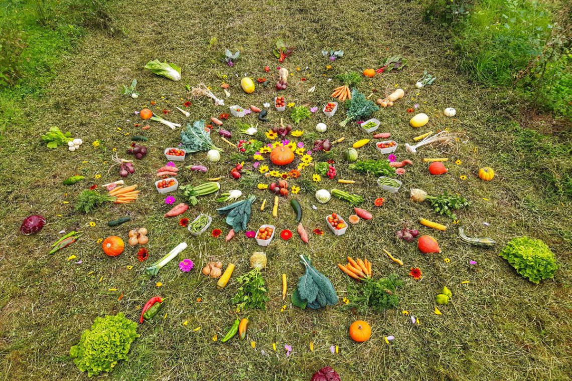 Biohof Osterer Obst &Gemüsemandala