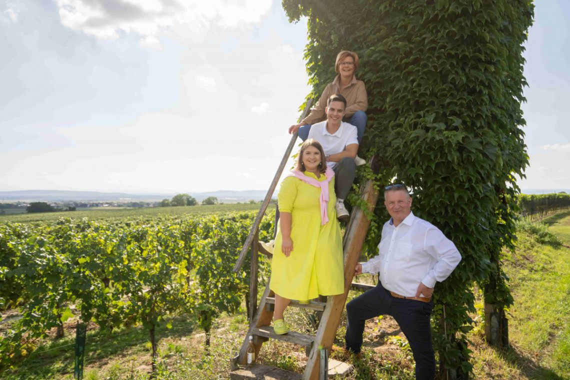 Bioweingut Urbanihof, Fam. Paschinger im Weingarten