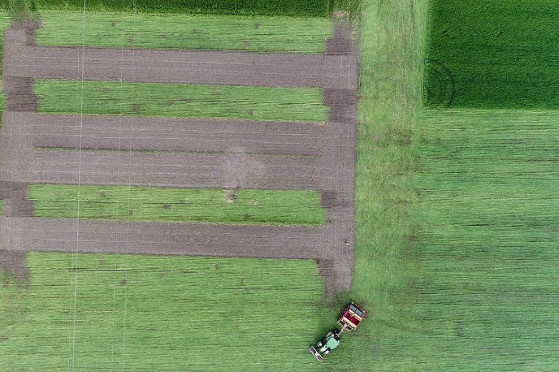 Grand Farm, Flugaufnahme von den Feldern
