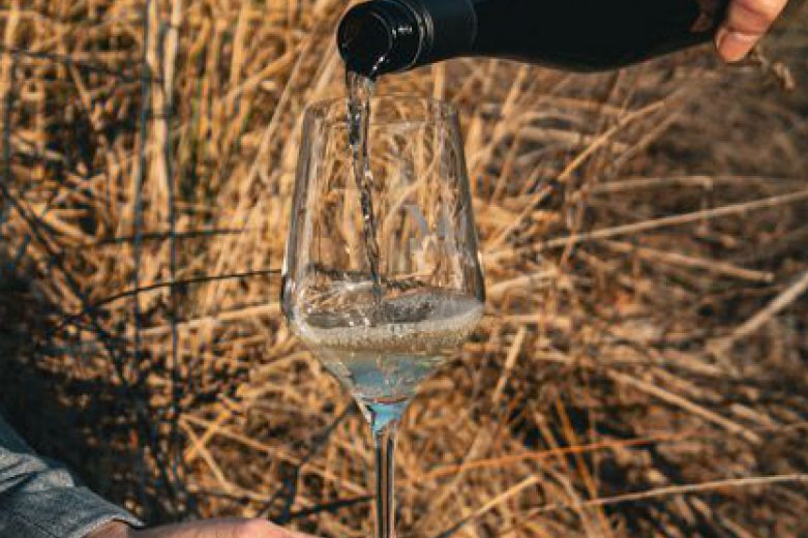 Weingut Riedl, Wein wird von Hand in ein Glas gegossen