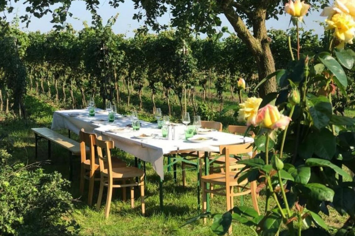 Bioweinbau Peter Paradeiser, Verkostungstisch im Weingarten