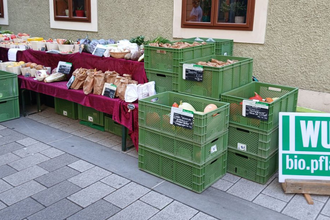 WUK Biopflanzen, Marktstand mit Pflanzen