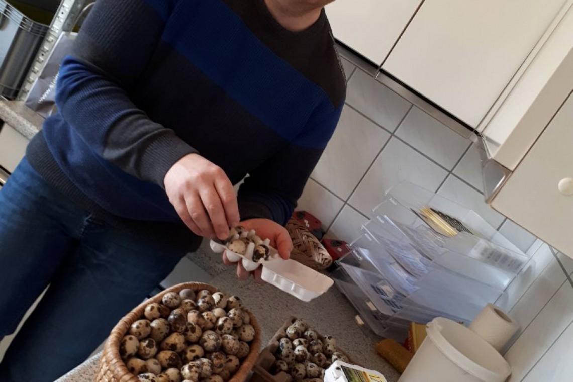 Berginghof, Herr Plank beim Wachteleier sortieren